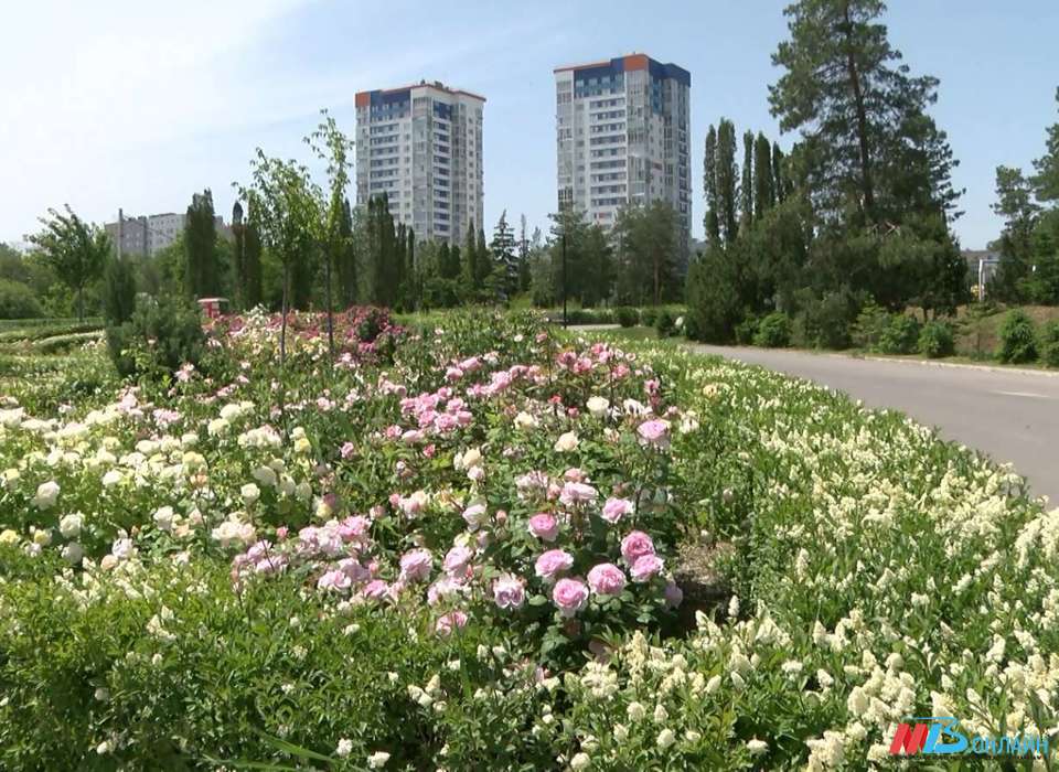 В Волгограде выбрали общественные пространства для благоустройства в 2024 году